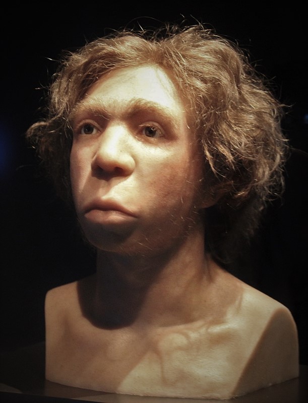 Kontemplując neandertalczyka  i kilka innych eksponatów