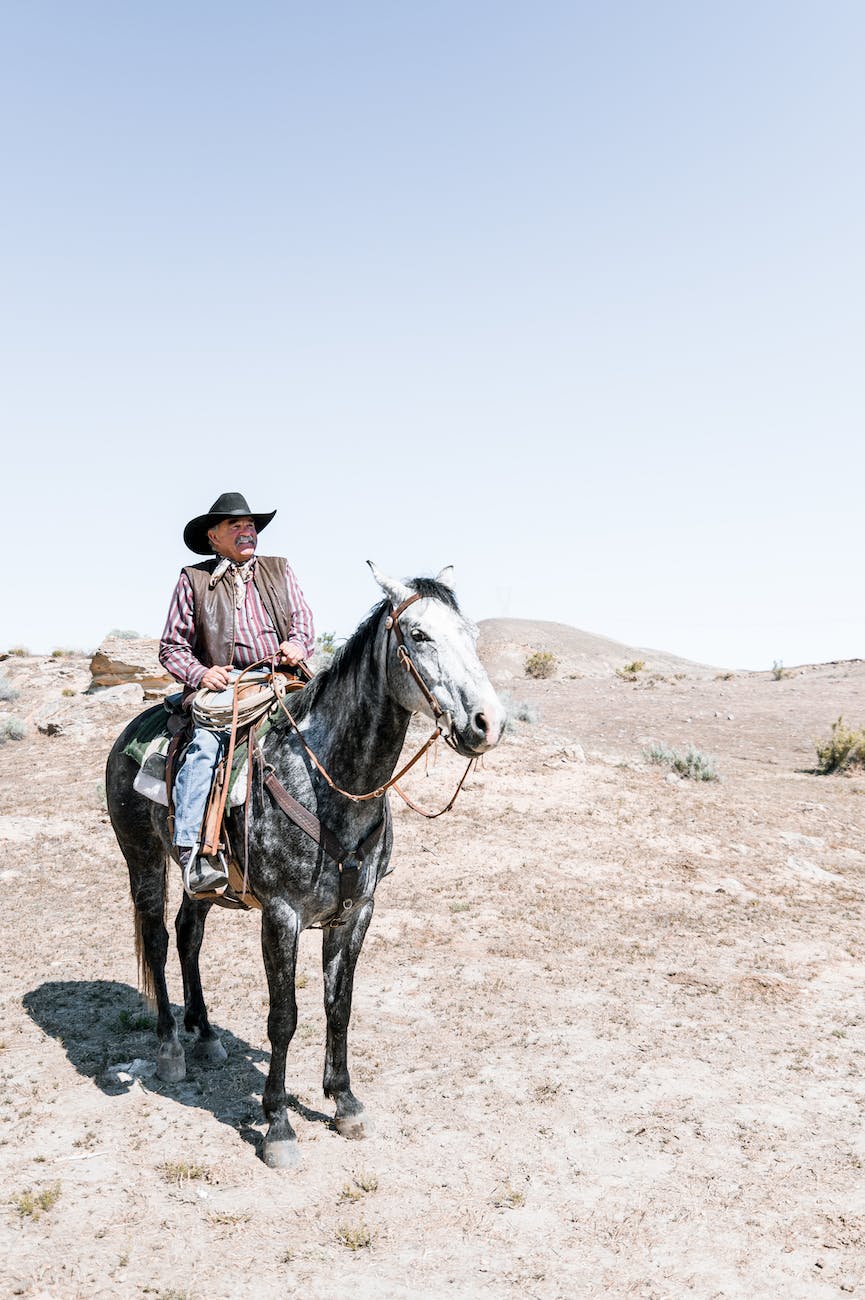 anonymous cowboy riding horse in countryside