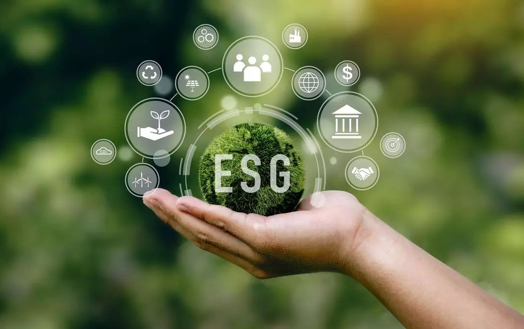 Zrównoważony Biznes i Finanse. Czy są chętni na nowy kierunek?