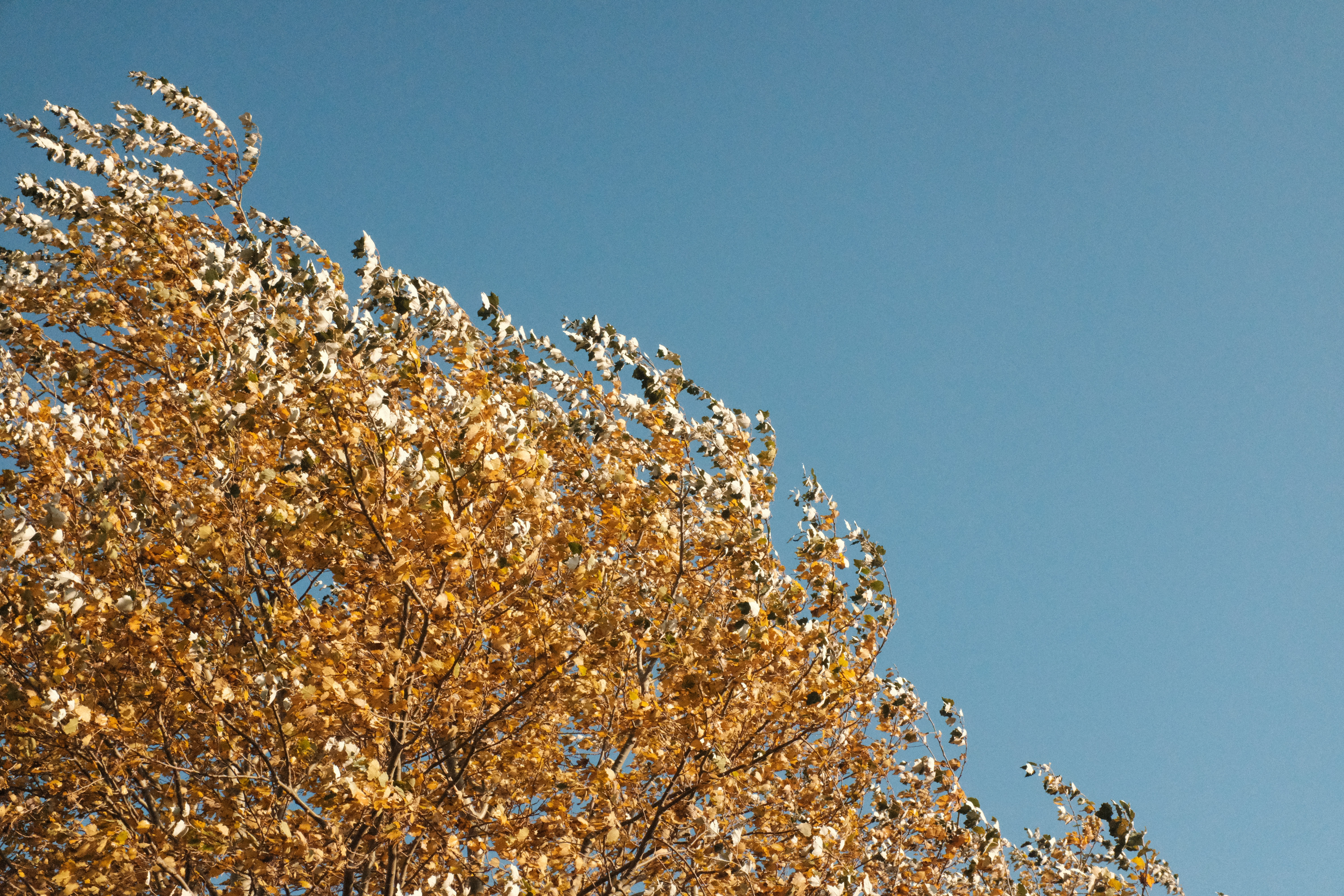 Zimne morze poharataną duszę koi